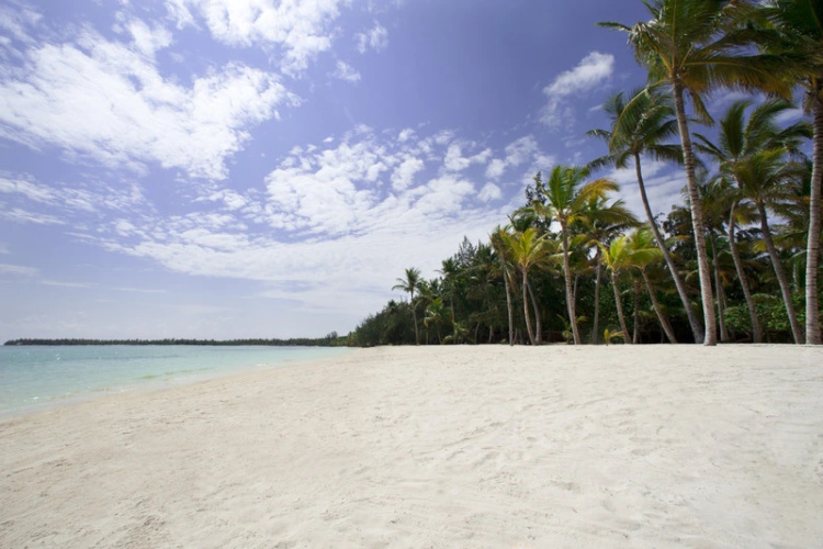 Family Club At Barcelo Bavaro Palace photo 13