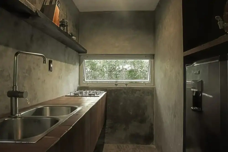 Vida Silvestre Tulum