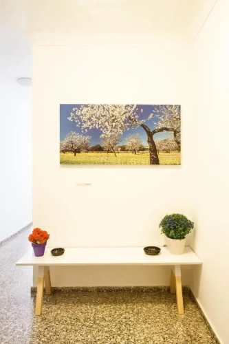 1 Bedroom Deluxe Apartment