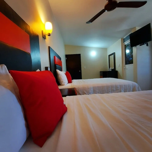 Standard Double room