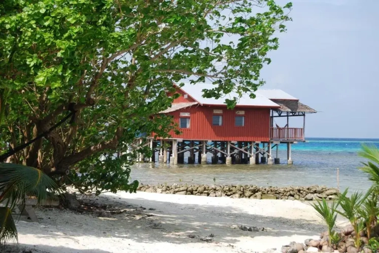 1 Bedroom Bungalow