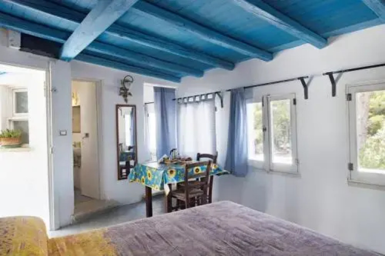 Attic iolanda