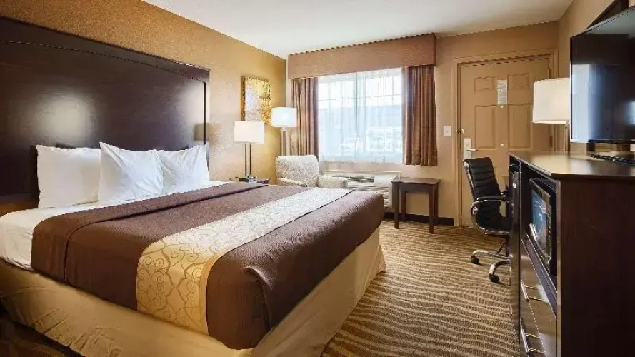1 Bedroom Standard Double room