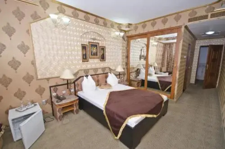 Hotel Brancusi