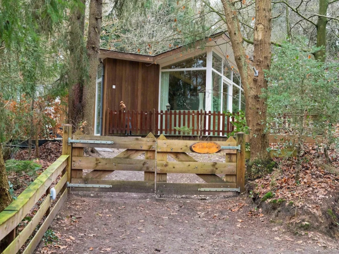 Forest House in Norg With Private Sauna
