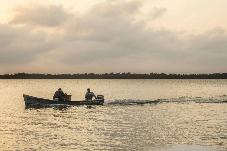 Isla Tajín Beach & River Resort