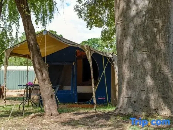 Tent