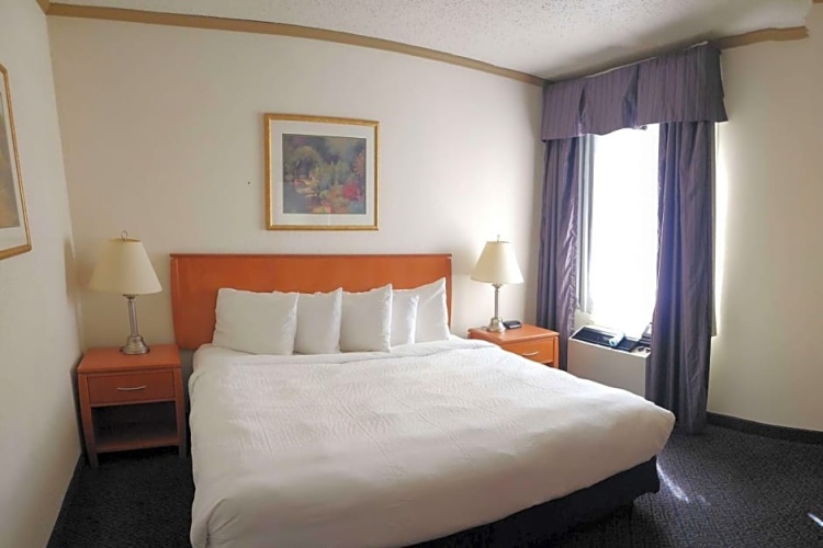 Standard Double room with view