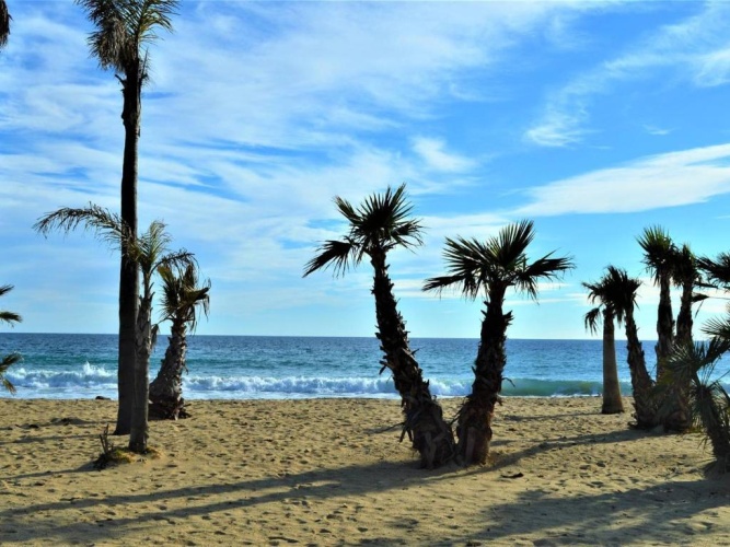 Beach