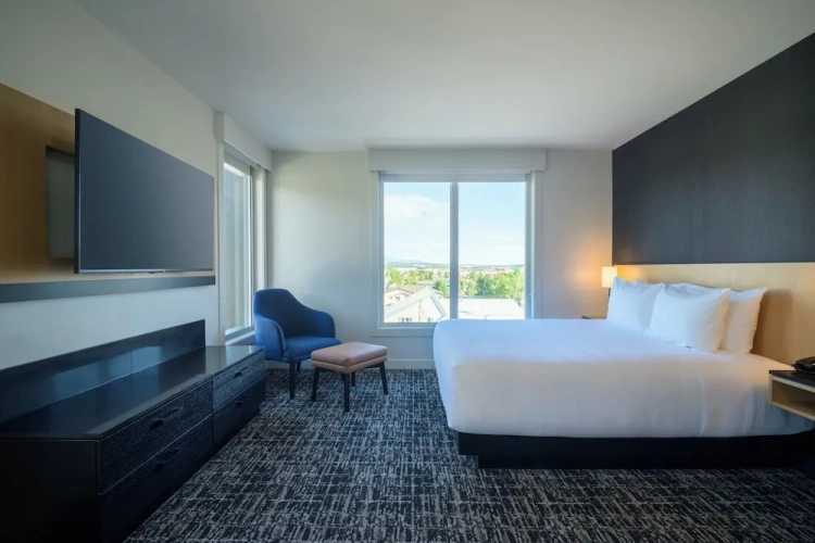 1 Bedroom Suite