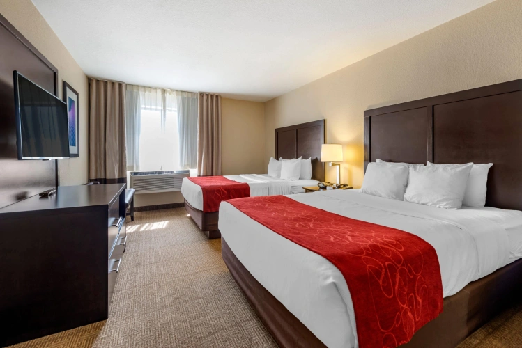 Quadruple Suite