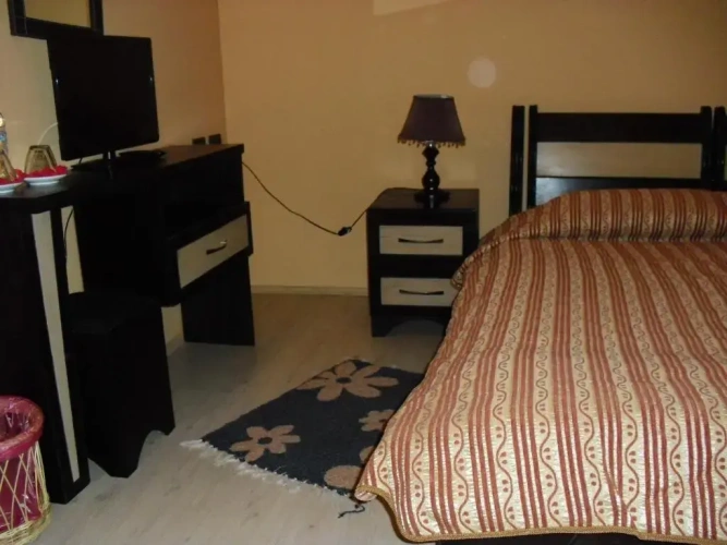 Standard Single room with garden view