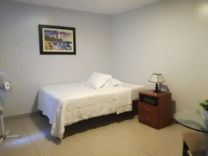 Hotel de Pisco