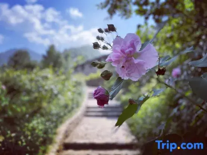Xishan Shendu Hostel