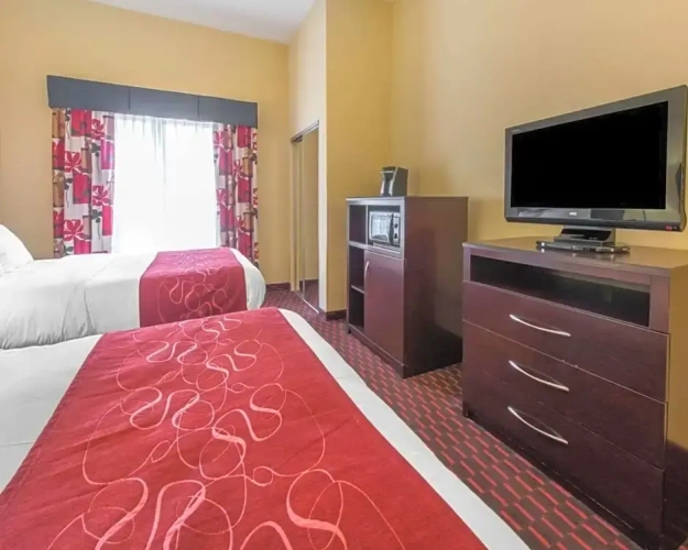 Quadruple Suite