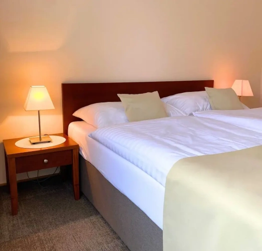 Comfort Double room with garden view