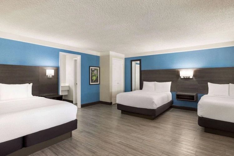 Deluxe Family room