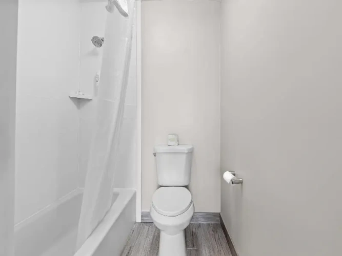 Quadruple Suite
