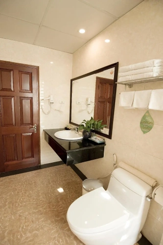 Deluxe Twin room with view