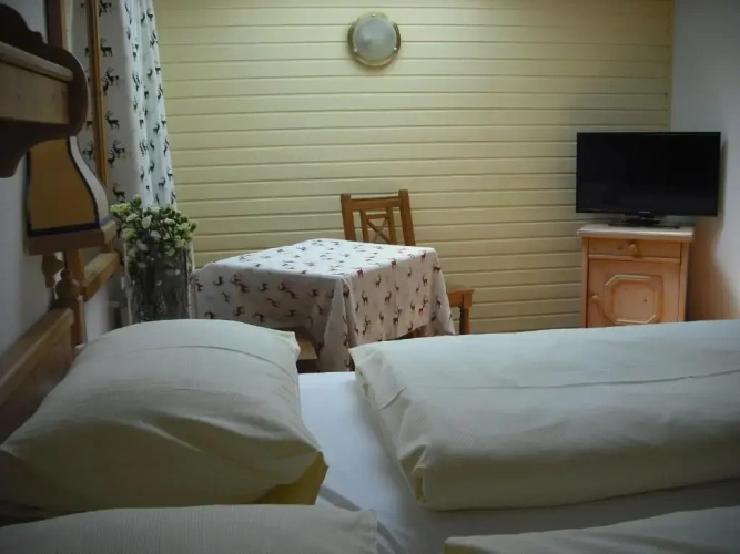 Standard Single room with view