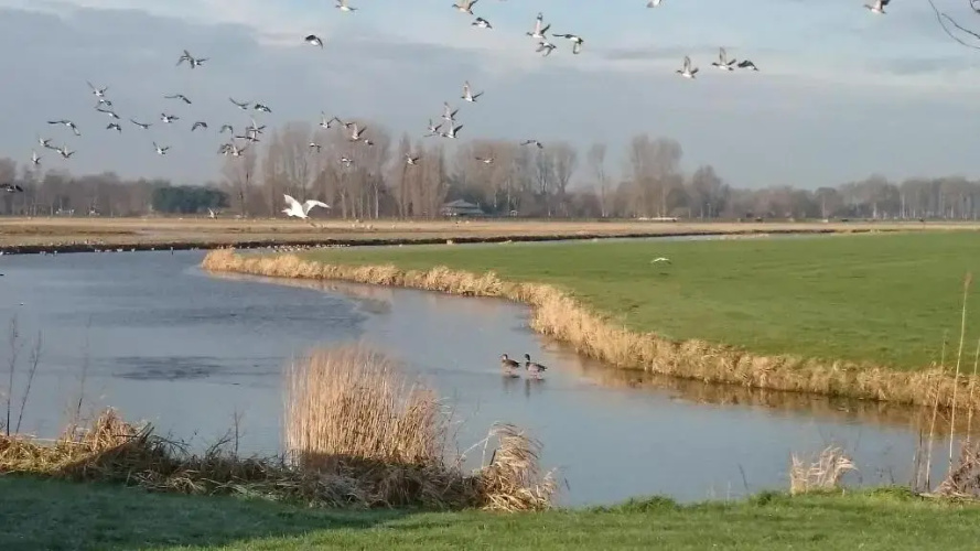 aan de schulpvaart