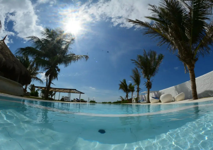 Dolphin Beach