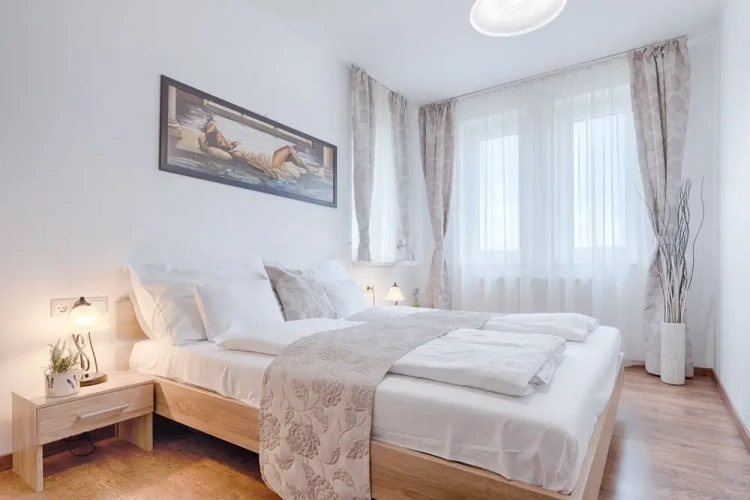 Deluxe Apartment with balcony