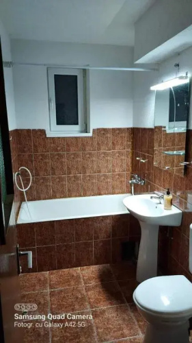 Apartament Ileana