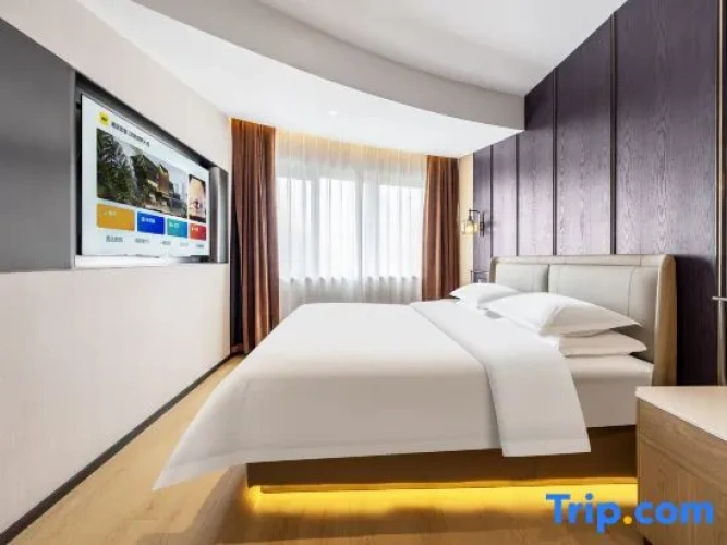 Business Suite
