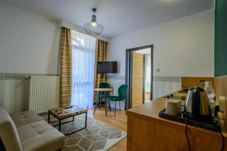 1 Bedroom Suite