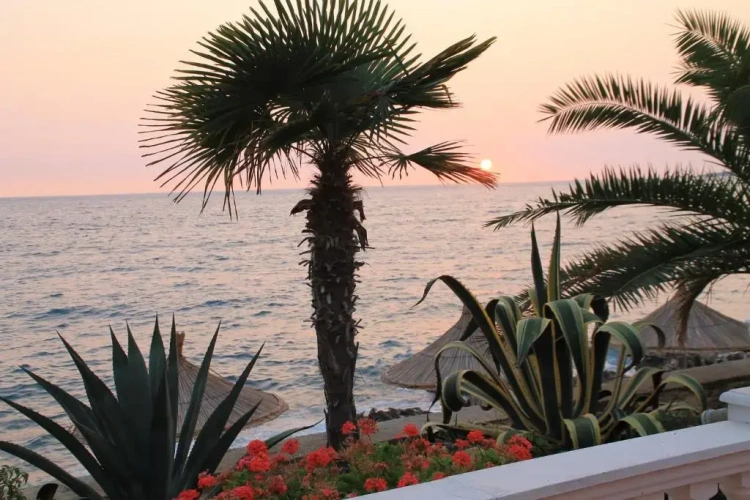 Standard Triple room with balcony and with sea view