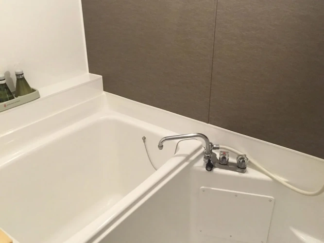 Japanese style Junior Suite