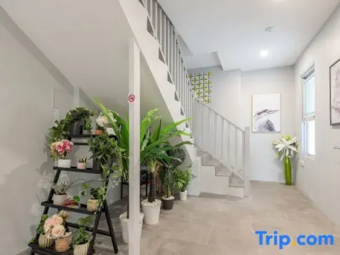 Stay Central – Surry Hills Comfort Near Everything