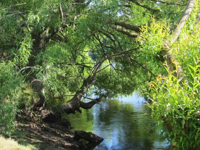 On The River