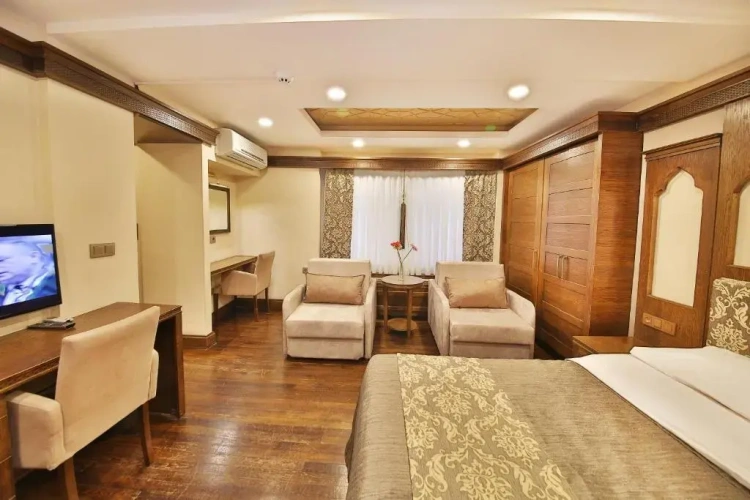 Deluxe Apartment