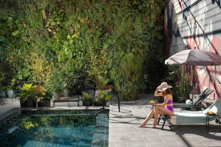 Hotel Hotel Over view