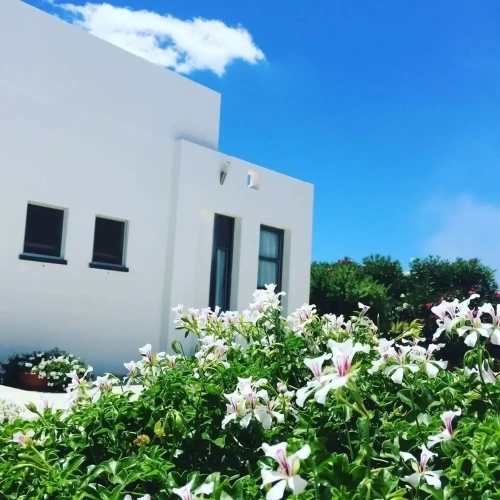 1 Bedroom Standard room