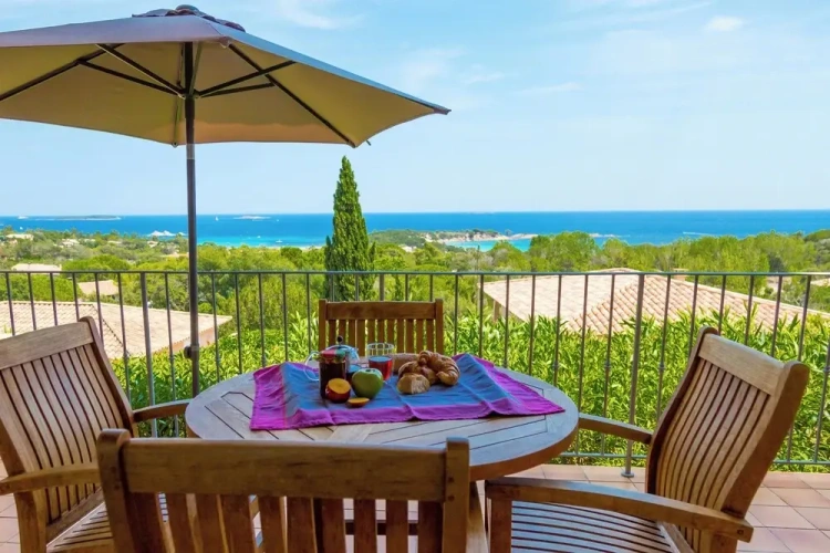 1 Bedroom Comfort Apartment