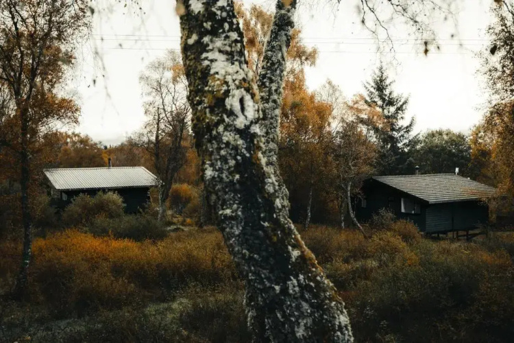 Ancarraig Lodges