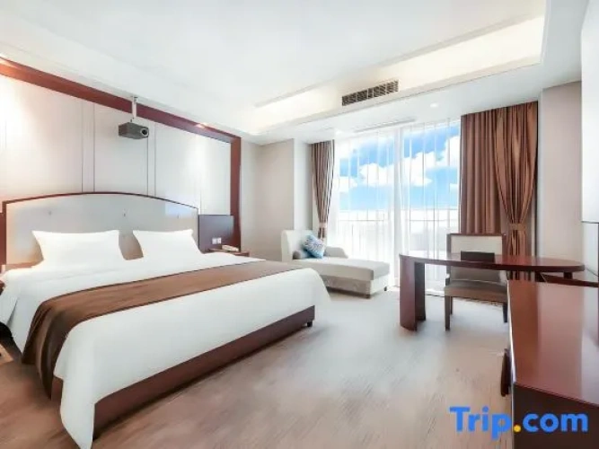 Standard Double room with city view