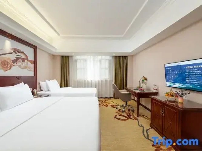 Deluxe Twin Family room