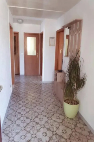 Apartments Šimun - 15m from beach