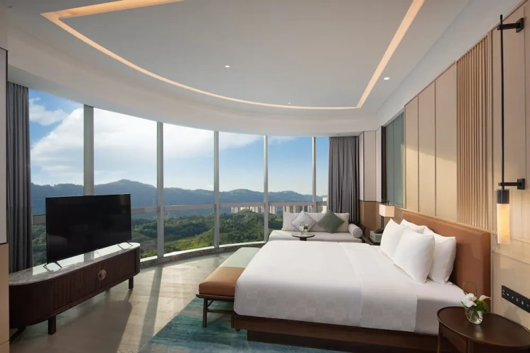 Premium Double Club room