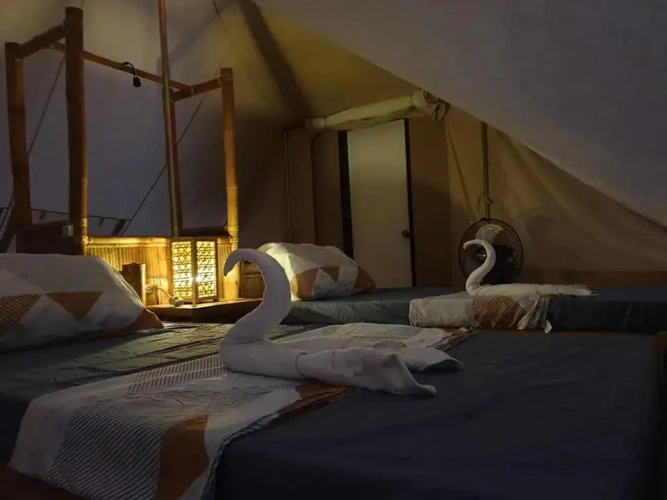 Economy Twin room