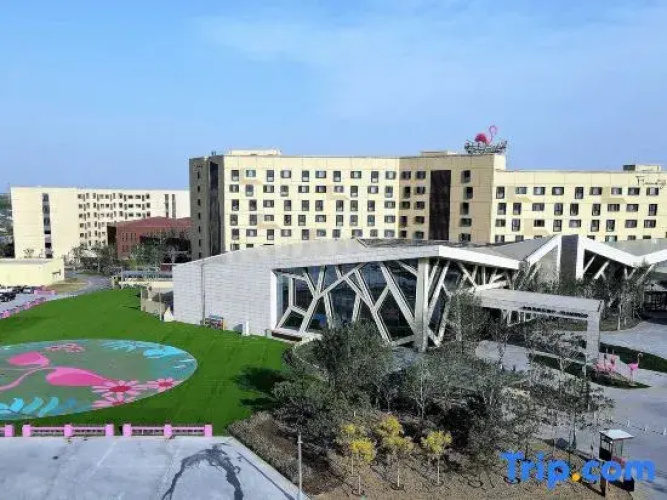 Flamingo Harbour Hotel