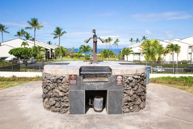 Hale Kamaole #341
