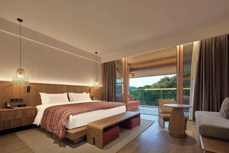 Standard Double room with balcony and with mountain view