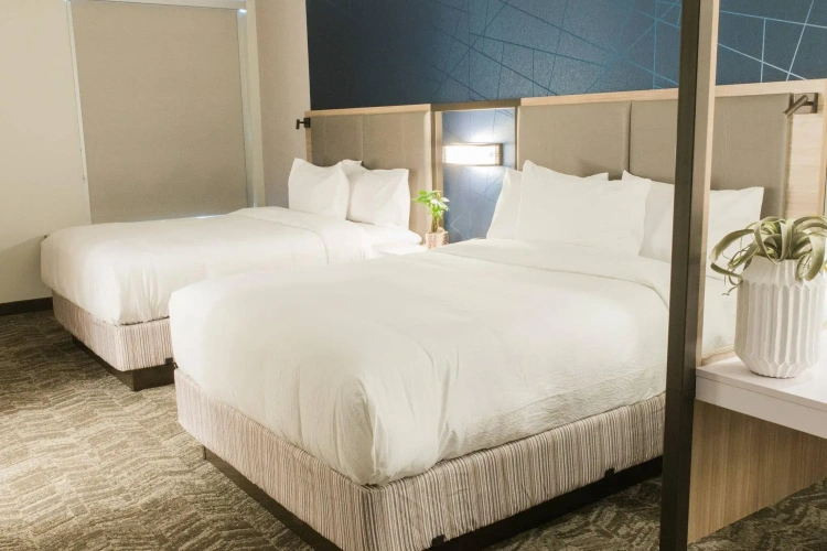 Quadruple Suite