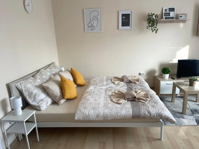 Modern Living Apartment