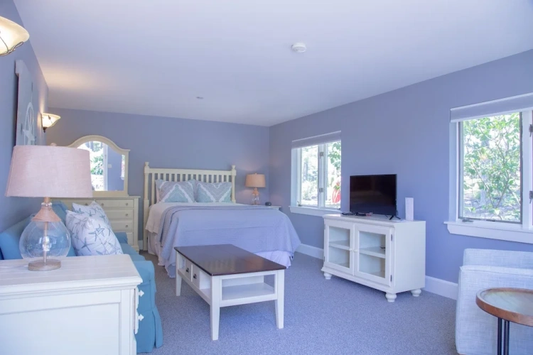 Deluxe Double Suite with balcony and with river view